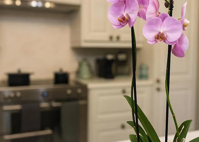 North - A Stylish Family Retreat Once Owned By Beatrix Potter *